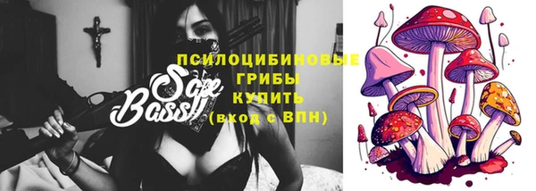 шишки Беломорск
