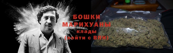 шишки Беломорск
