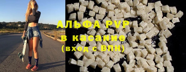 шишки Беломорск