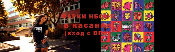шишки Беломорск