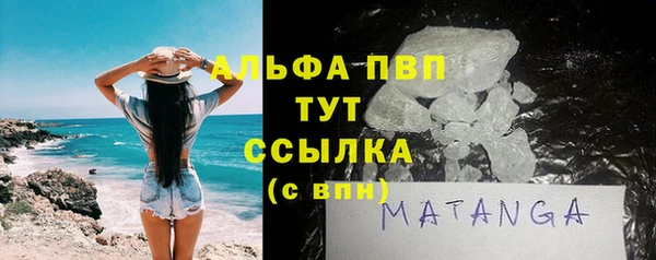 прущие грибы Балахна
