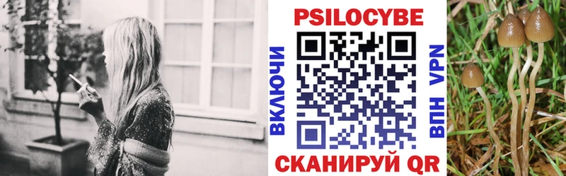Псилоцибиновые грибы мицелий  купить наркотик  Козельск 